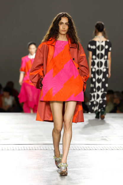 Dries Van Noten Dabel Mini Dress