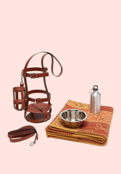 Loewe Leather Feeder Bag